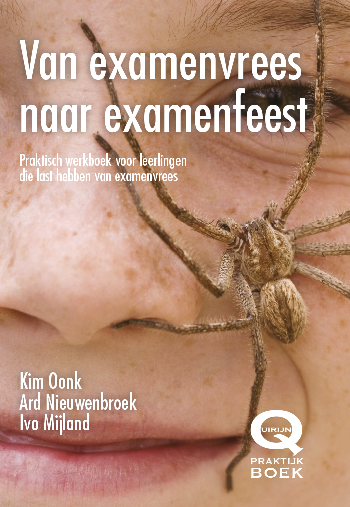 van examenvrees naar examenfeest (WERKBOEK)